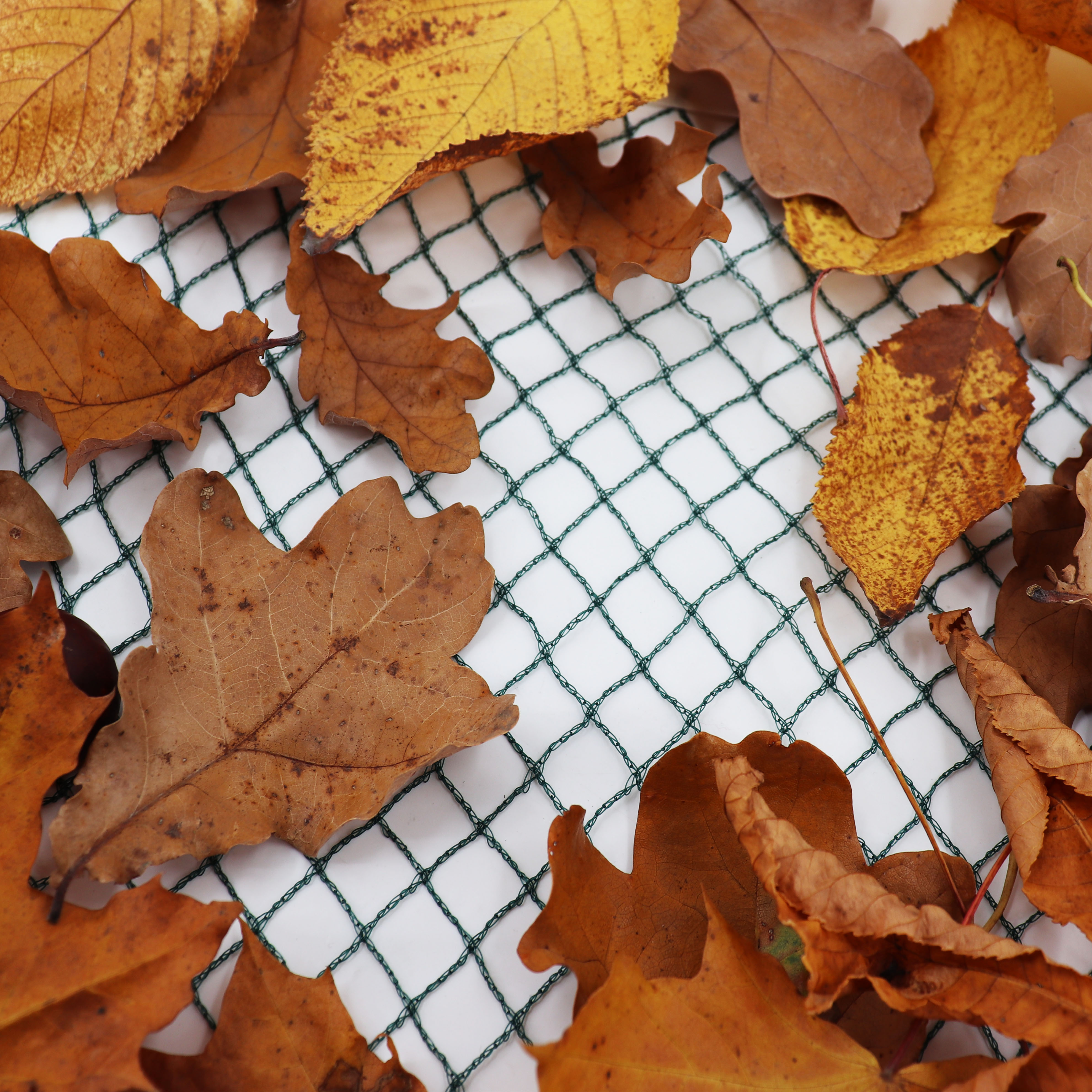 Aquagart Teichnetz 34m x 16m Laubnetz Netz Laubschutznetz robust - Bild 1