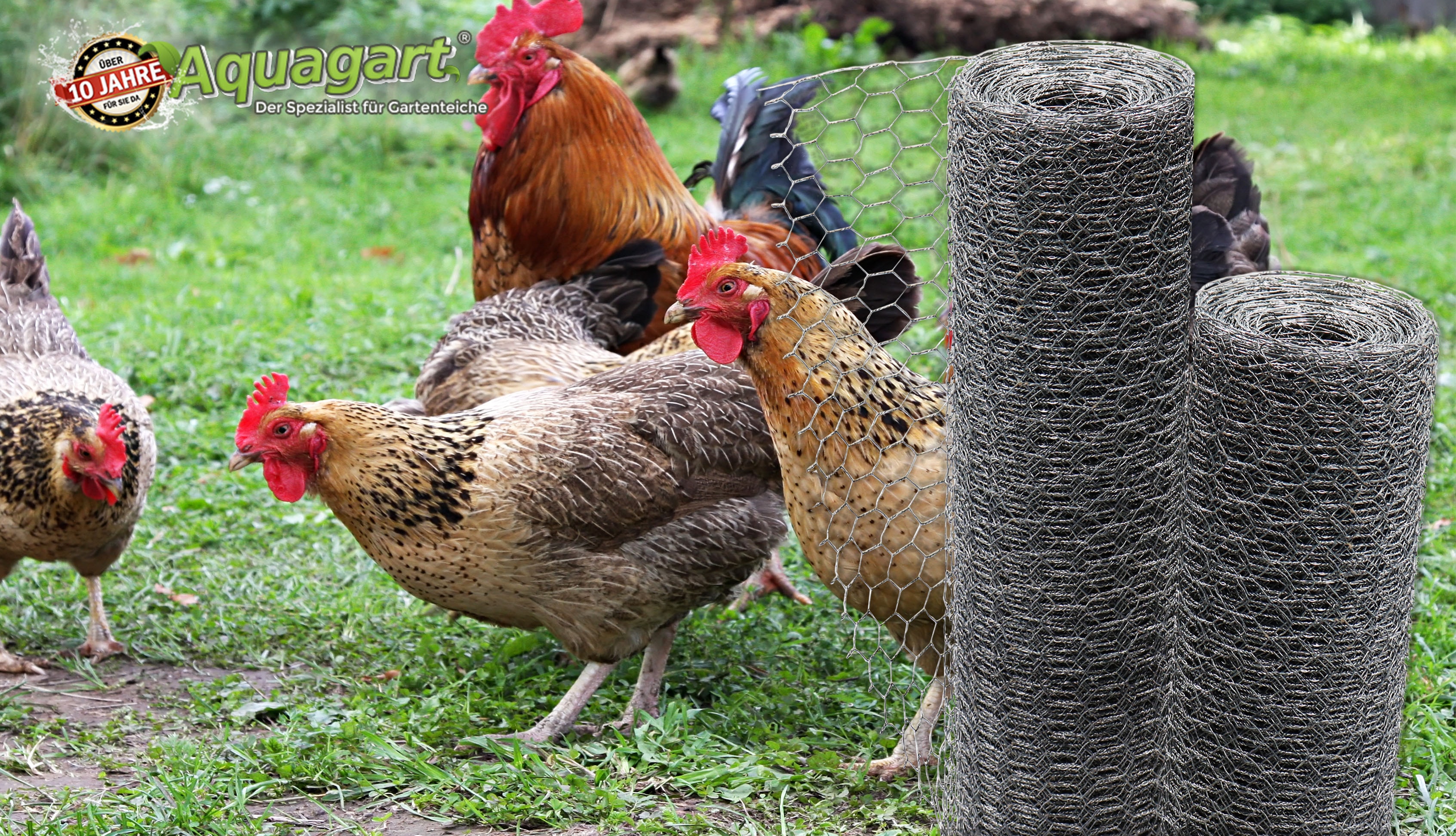 Aquagart 20m Sechseckgeflecht Kaninchendraht Hasengitter Hasendraht 50cm 25mm x 25mm - Bild 1