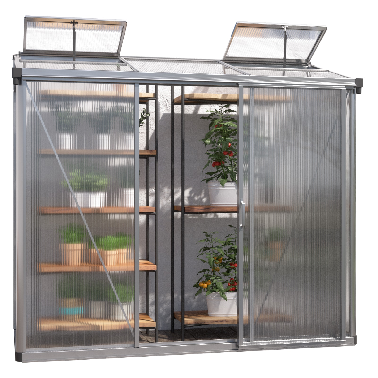 GFP Anlehngew&auml;chshaus Gew&auml;chshaus 10 mm Polycarbonatplatten 294 x 147 x 223 cm - Bild 1