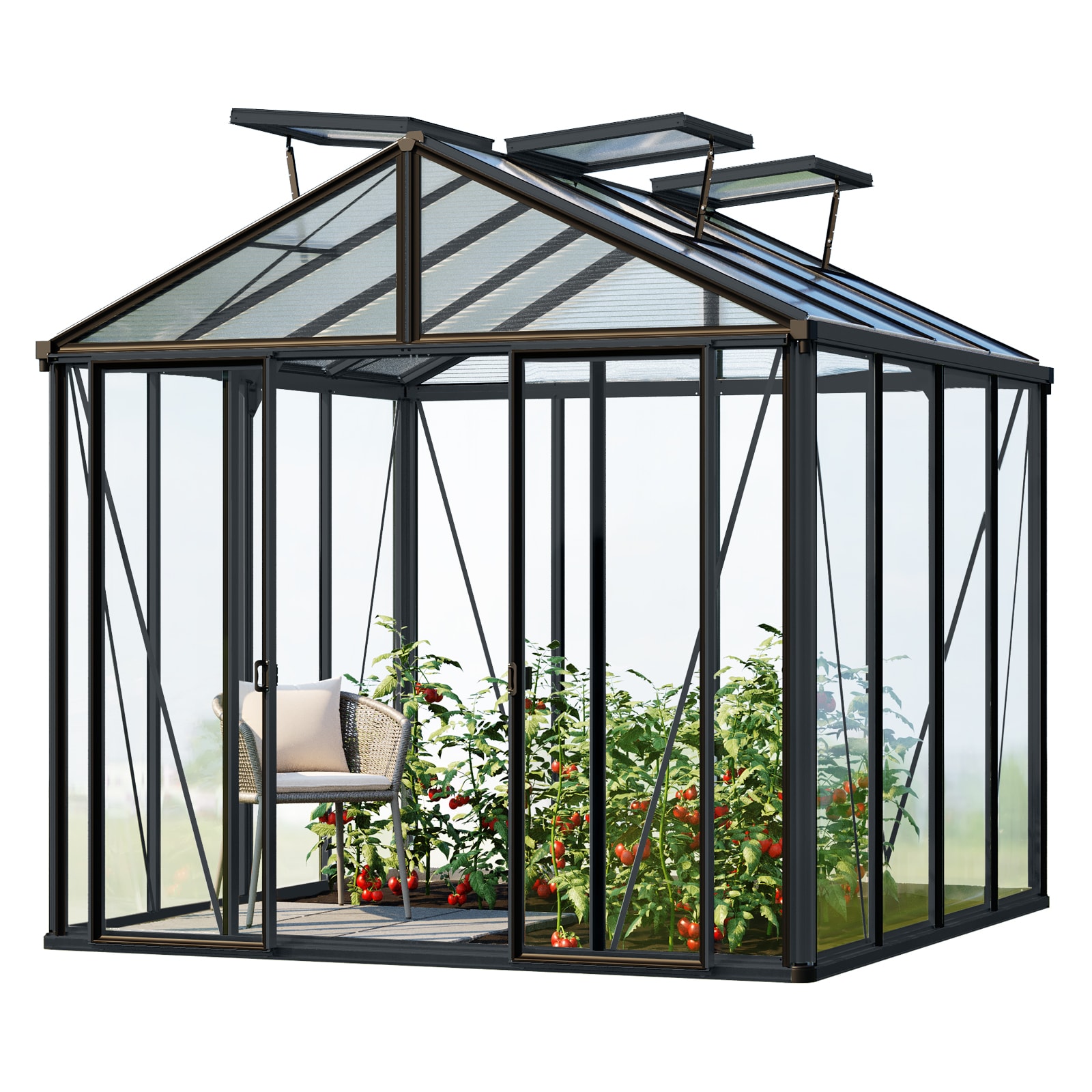 GFP Gew&auml;chshaus Glasgew&auml;chshaus HERA mit Aluminium-Rahmen 263 x 514 cm Anthrazit - Bild 1