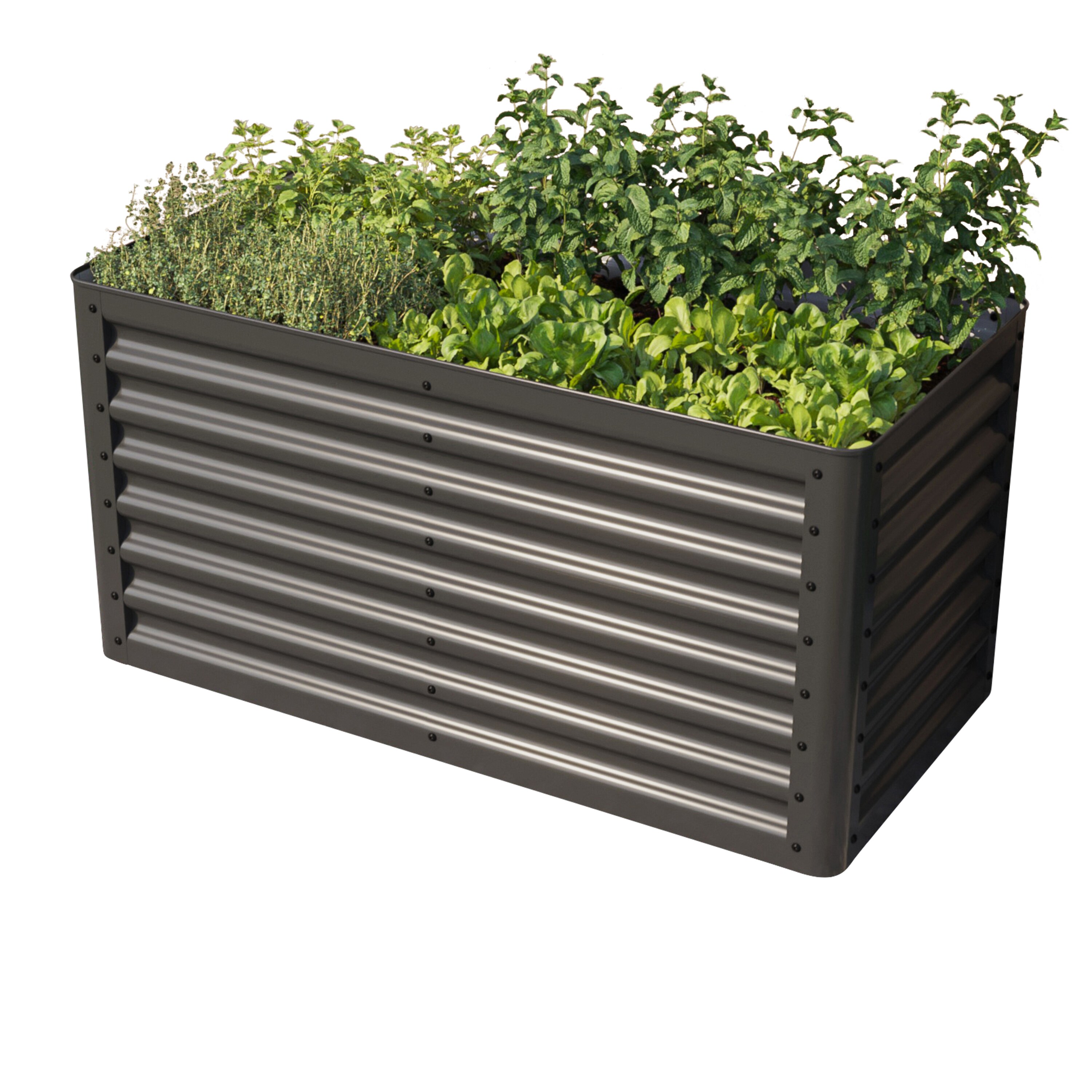 GFP Primeyard Hochbeet LUCA anthrazit Stahlkonstruktion 120 x 60 x 60 cm - Bild 1