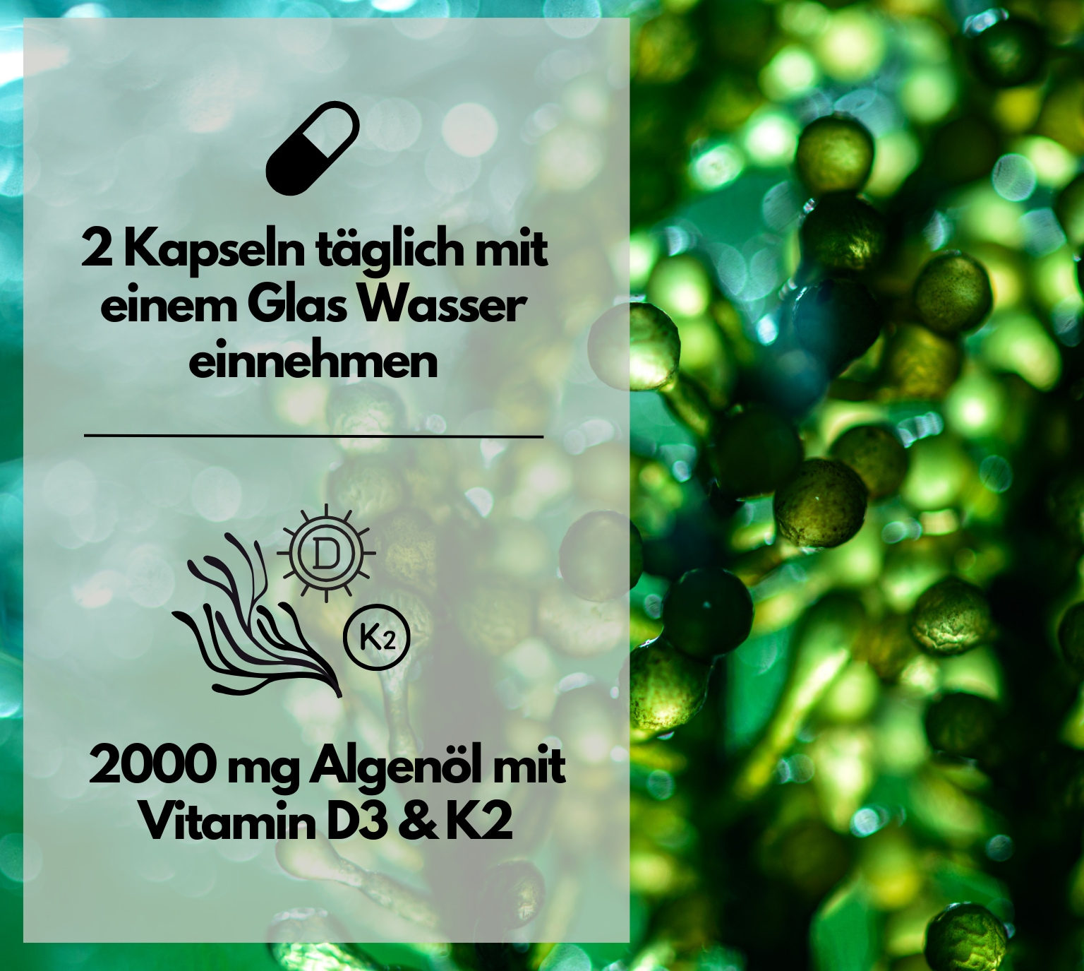 EXVital&reg; Omega 3 + D3 & K2 Kapseln aus Algen&ouml;l, hochdosiert & vegan, 120 Kapseln - Bild 1