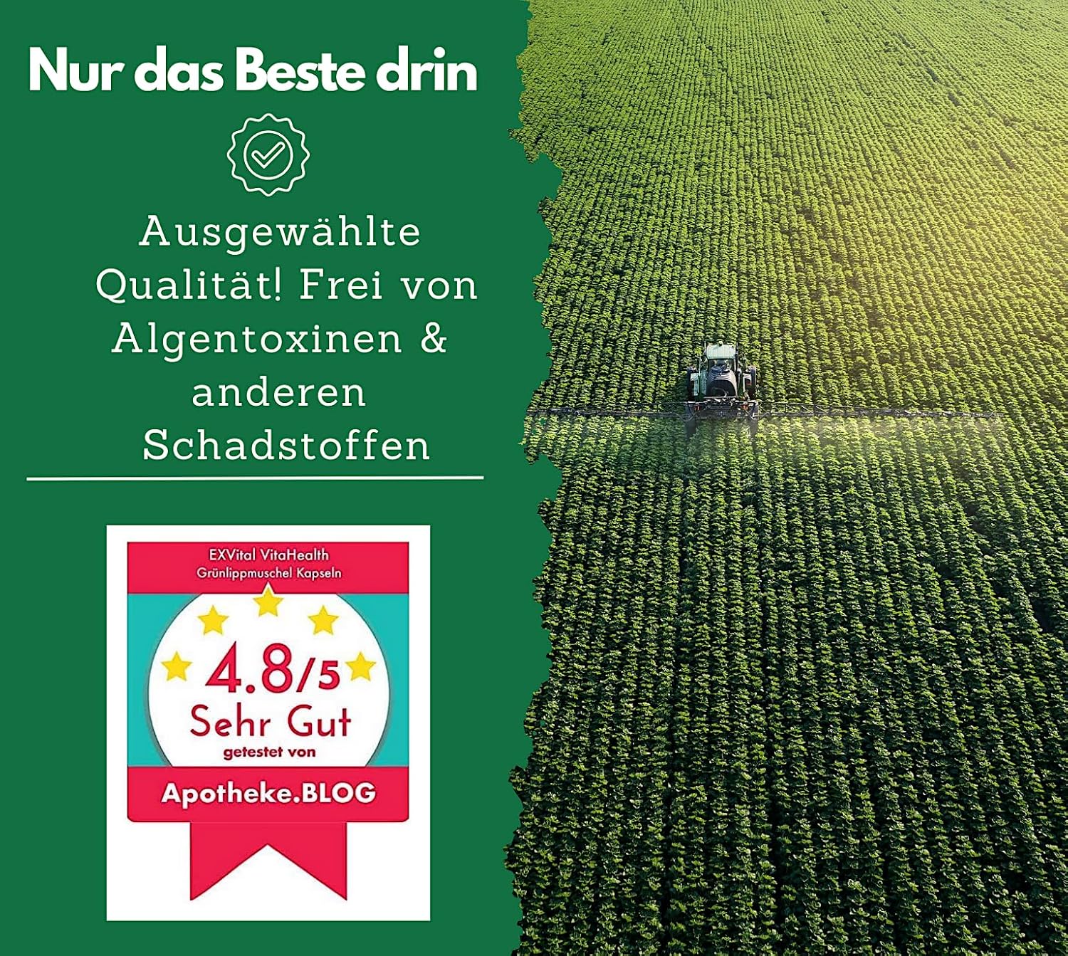 EXVital&reg; Gr&uuml;nlippmuschel Kapseln, hochdosiert, 300 Kapseln - Bild 1