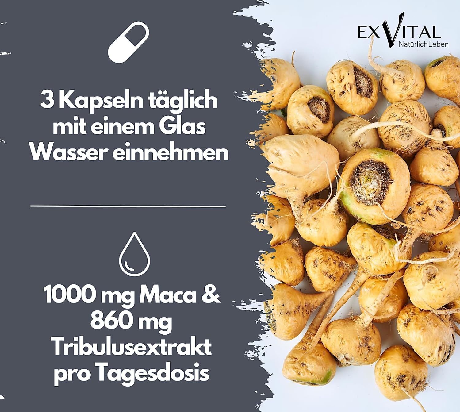 EXVital&reg; Maca 1000 Plus Tribulus, 90 Kapseln - Bild 1