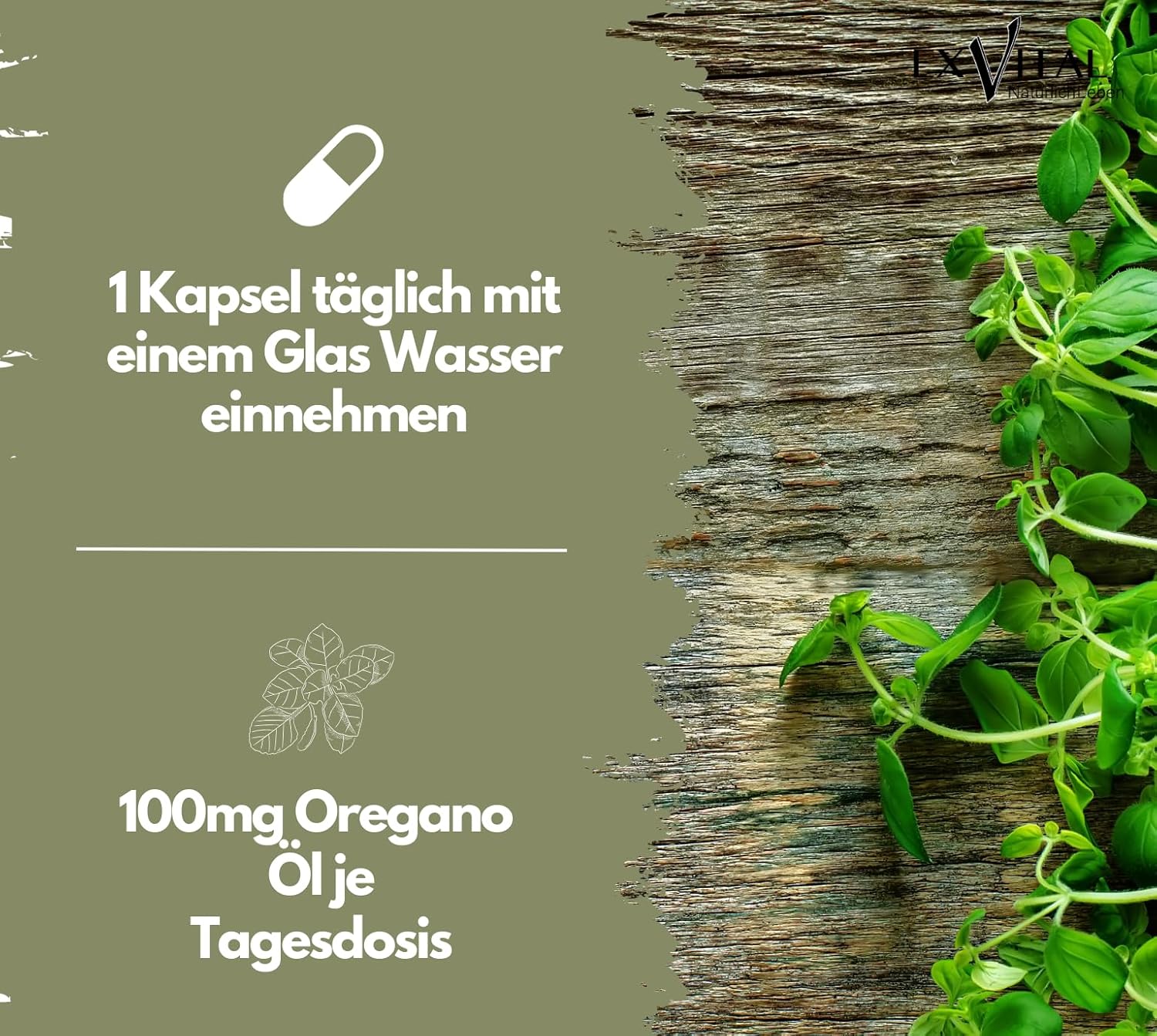 EXVital&reg; Bio Oregano &Ouml;l Kapseln, 60 Kapseln - Bild 1