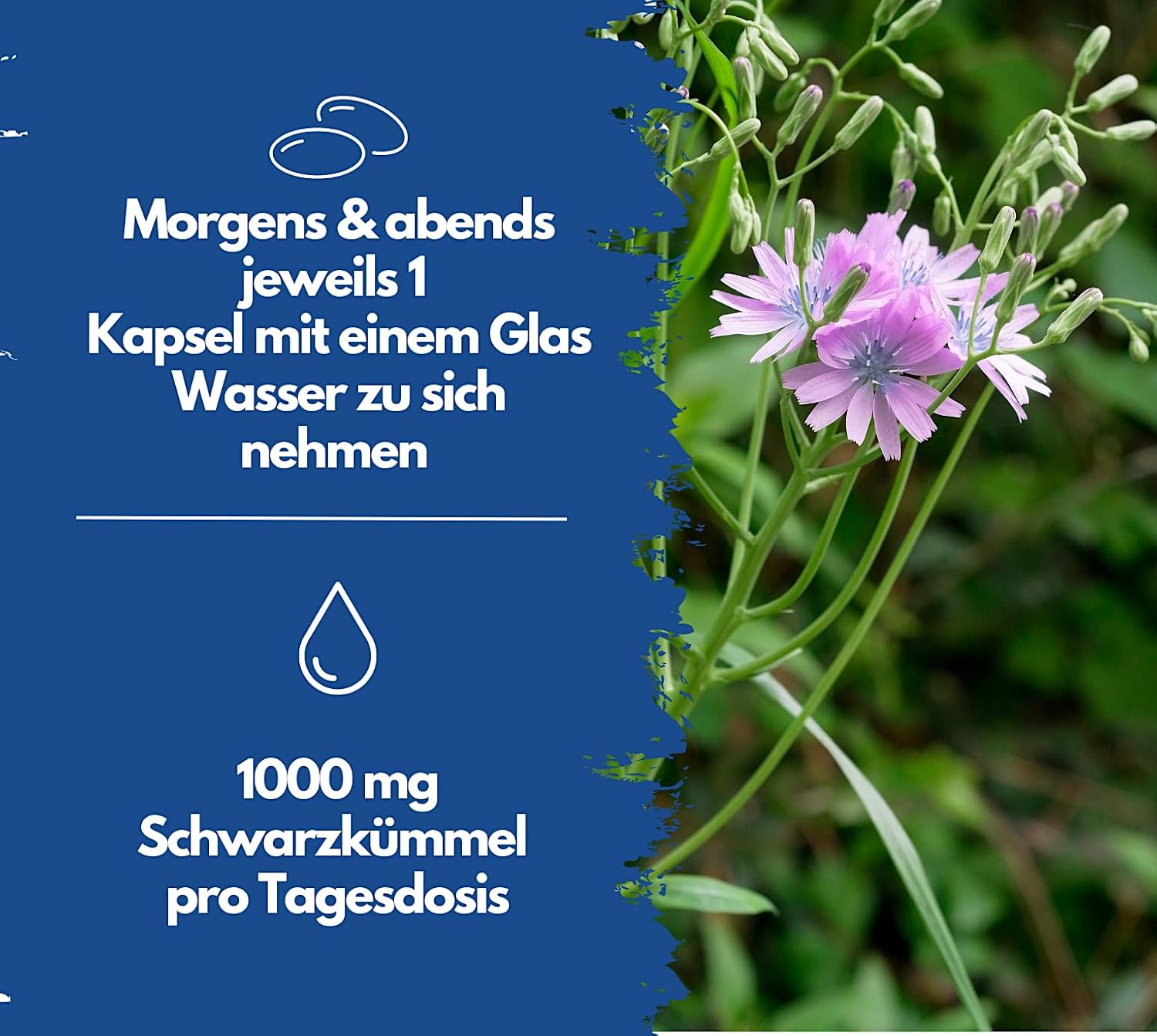 EXVital&reg; Schwarzk&uuml;mmel&ouml;l Kapseln, 400 Kapseln - Bild 1